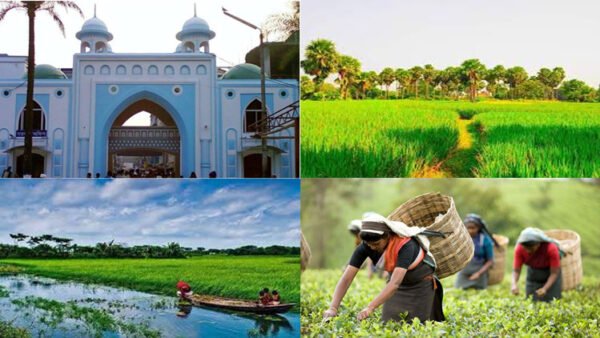 বাংলাদেশ জাতীয়