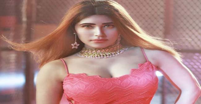 উত্তাপ ছড়াচ্ছেন নায়লা