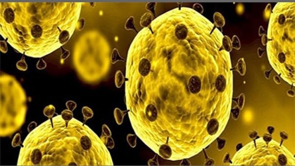 ২জন চিকিৎসকসহ নতুন আক্রান্ত ৪ : মোট শনাক্ত ৪৮