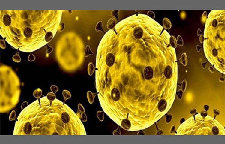 ২জন চিকিৎসকসহ নতুন আক্রান্ত ৪ : মোট শনাক্ত ৪৮