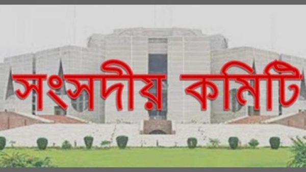করোনাভাইরাস প্রতিরোধে সব মন্ত্রনালয়কে একসঙ্গে যৌথভাবে কাজ করার আহ্বান : সংসদীয় কমিটির