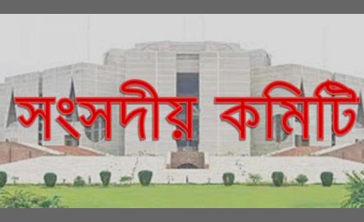 করোনাভাইরাস প্রতিরোধে সব মন্ত্রনালয়কে একসঙ্গে যৌথভাবে কাজ করার আহ্বান : সংসদীয় কমিটির
