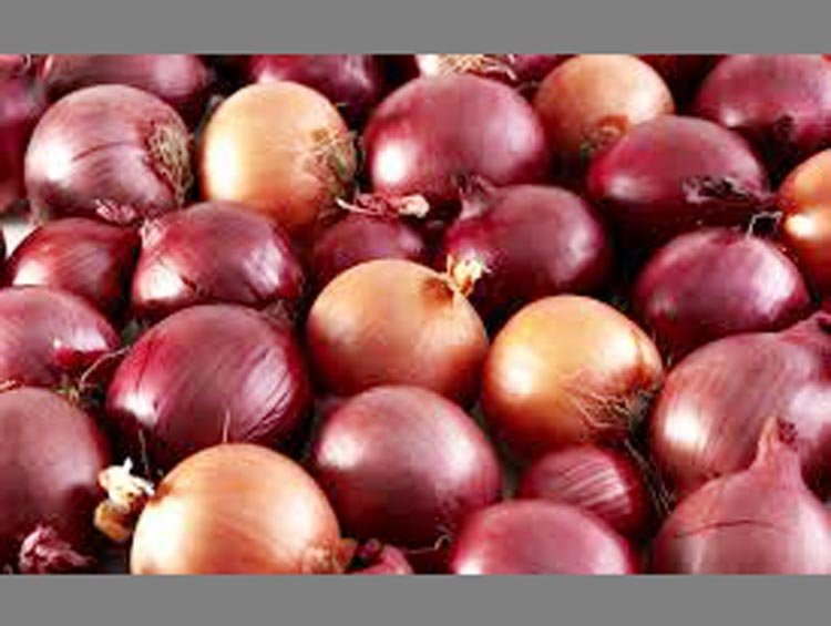 দীর্ঘ দিন পর ভারত থেকে পেঁয়াজ এল বাংলাদেশে