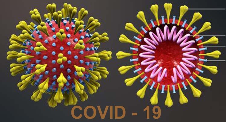 সিলেটে বিভাগজুড়ে করোনায় নতুন শনাক্ত ৬৬সহ মোট ১৭৫জন