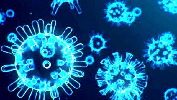 সিলেটে এ নিয়ে নতুন ১৬জনসহ করোনা ভাইরাসে পজেটিভ সনাক্ত  ৪৯