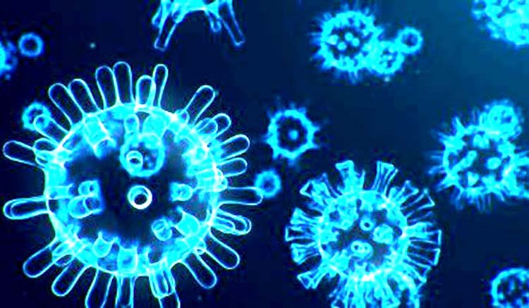 সিলেটে এ নিয়ে নতুন ১৬জনসহ করোনা ভাইরাসে পজেটিভ সনাক্ত  ৪৯