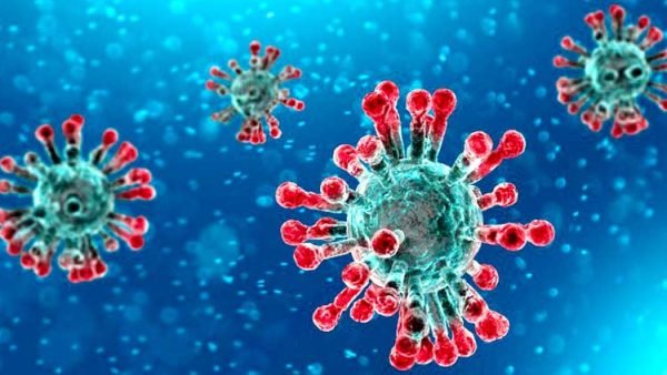 সিলেটে করোনায় সনাক্ত মোট ১০৬, নতুন ৬জন পজেটিভ