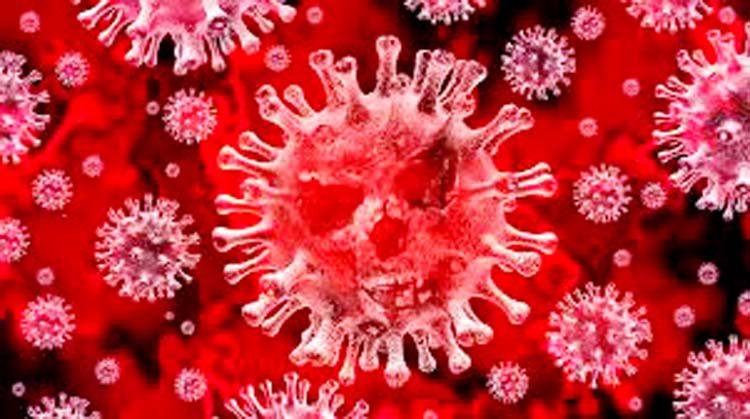 সিলেটে আরো ১ জন নতুন করোনা আক্রান্ত রোগী সনাক্ত