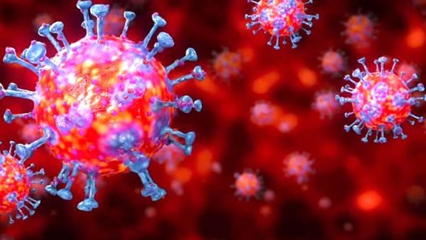 নতুন করে দেশে করোনায় সনাক্ত ৪৩৪সহ ৩,৩৮২জন,  মারা গেছেন ৯জনসহ ১১০জন