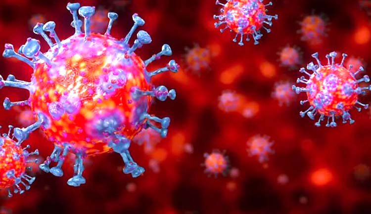 সিলেটে আবারো ১জন চিকিৎসক পজেটিভ সনাক্ত এনিয়ে বিভাগজুড়ে আক্রান্ত ৫