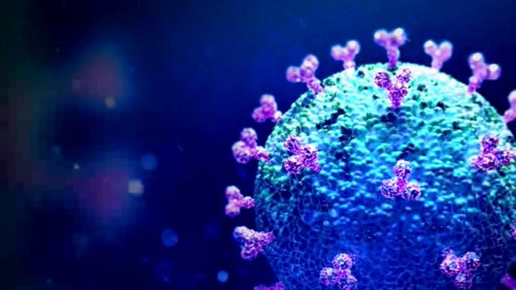 সিলেটে এবার আক্রান্তের সংখ্যা ৪০০তে দাড়ালো