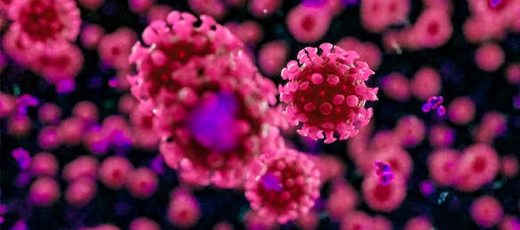 শাবি ল্যাবে করোনা পজেটিভ আরো ২৩জন, সকলেই সুনামগঞ্জ জেলার