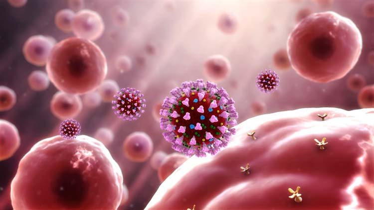 মাত্র ৩টি ধাপ মানলেই ৪ দিনেই করোনামুক্তি ?