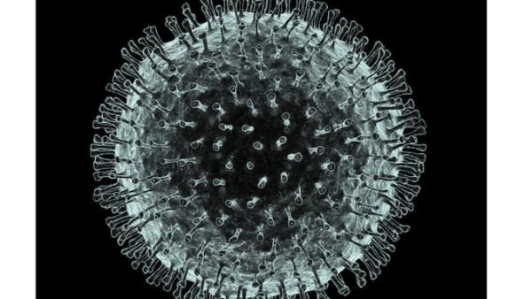 সিলেট বিভাগজুড়ে আক্রান্তে ১২’শ ছাড়িয়েছে