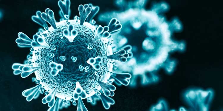 সিলেটে বিভাগে করোনায় ১৩ শ ছাড়ালো