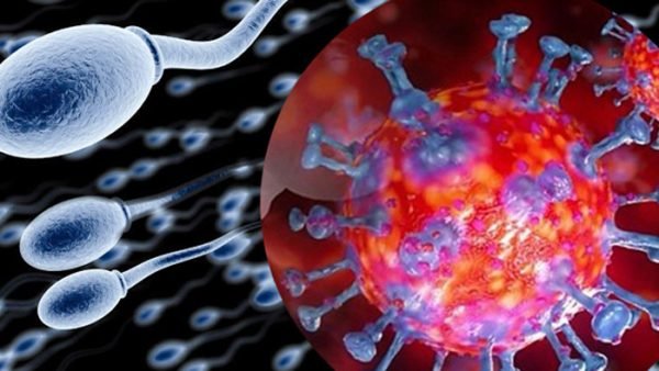 সিলেটে সর্বশেষ ২৪ঘন্টায় মৃত ১, আক্রান্ত ৩৬জন