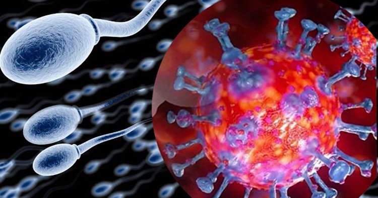 সিলেটে সর্বশেষ ২৪ঘন্টায় মৃত ১, আক্রান্ত ৩৬জন