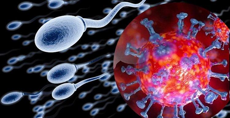 দেশে ২৪ ঘন্টায় আরও ৩৫ জনের মৃত্যু,সনাক্ত ২হাজার ৪২৩