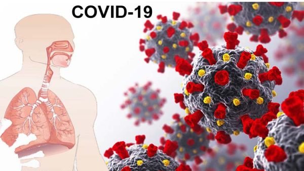 দেশে গত ২৪ ঘন্টায় করোনায় সর্বোচ্চ রেকর্ড মৃত্যু