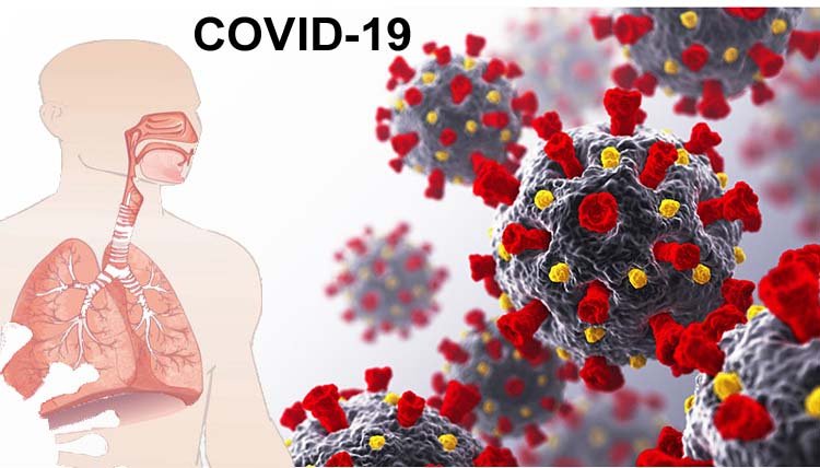 দেশে গত ২৪ ঘন্টায় করোনায় সর্বোচ্চ রেকর্ড মৃত্যু