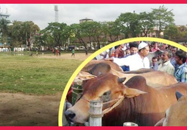 আলিয়া মাদ্রাসা মাঠে হচ্ছে না কোরবানির পশুর হাট।