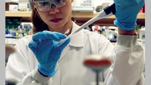 দেশীয় ভ্যাকসিনের দিকেই তাকিয়ে শহরের ডাক্তাররা।