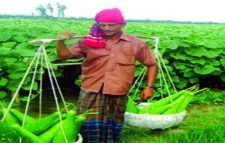 সিলেটের চারটিসহ দেশের ৬৪ জেলায় ‘কৃষক বাজার’ স্থাপন করতে যাচ্ছে সরকার