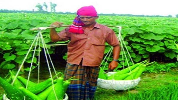 সিলেটের চারটিসহ দেশের ৬৪ জেলায় ‘কৃষক বাজার’ স্থাপন করতে যাচ্ছে সরকার