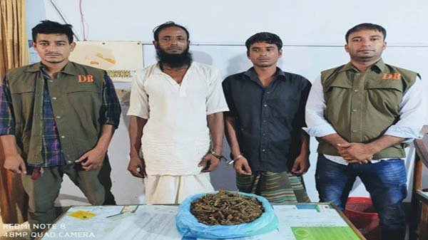 বিশ্বনাথে ১ কেজি গাঁজাসহ ২জন গ্রেফতার