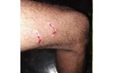 দক্ষিণ সুরমার দাউদপুরে লোকালয়ে বাঘ, আতংকে এলাকাবাসী