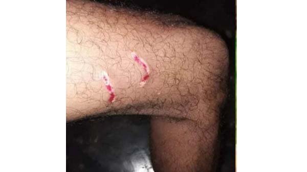 দক্ষিণ সুরমার দাউদপুরে লোকালয়ে বাঘ, আতংকে এলাকাবাসী