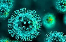 আরও ২২ মৃত্যু, শনাক্ত ১৫৪১