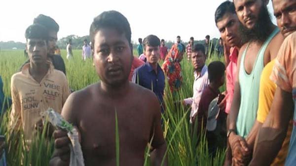 মায়ের ৪ টুকরো লাশ উদ্ধার, ছেলে আটক