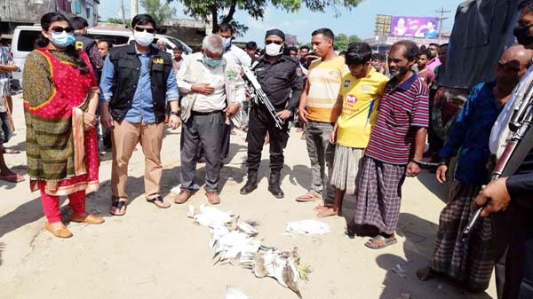 হবিগঞ্জে অতিথি পাখির আগমনে তৎপর শিকারীরা, আটক ৪