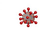 শাবির ল্যাবে ১৪ জনের করোনা শনাক্ত