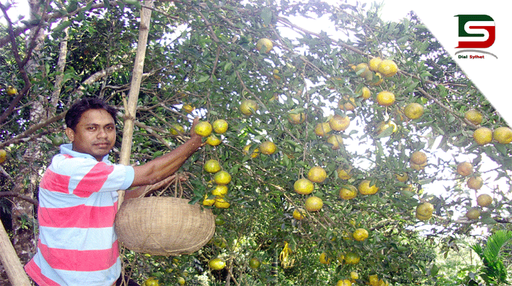 কমলা ফুলির ঘর এ বছরও শূণ্য