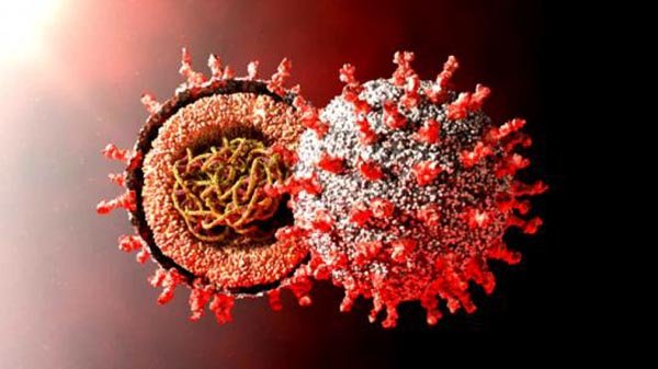 সিলেটে মৃত্যুহীন দিনে ২২ জন শনাক্ত, সুস্থ ২৬