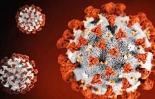 করোনা: ১৯ জন শনাক্তের দিনে সিলেটে সুস্থ ৩১জন