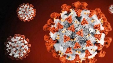 করোনা: ১৯ জন শনাক্তের দিনে সিলেটে সুস্থ ৩১জন