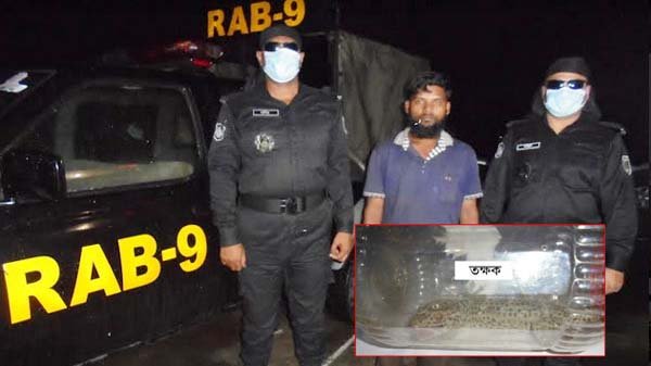 বিরল তক্ষকসহ র‌্যাবের জালে সোহেল আটক