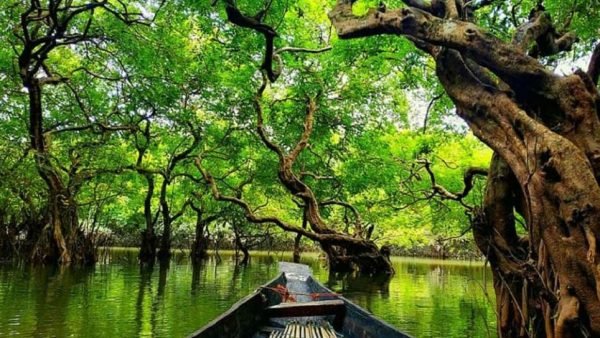 রাতারগুল ভ্রমণে সরকারকে ফি প্রদানের প্রজ্ঞাপন জারি