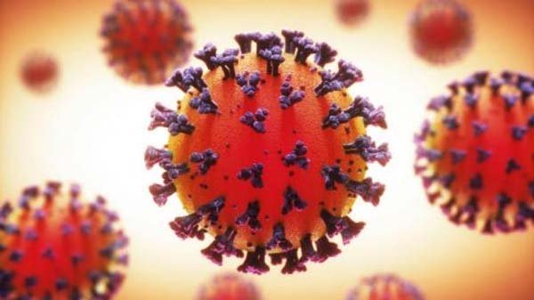 ওসমানীর ল্যাবে ৭ জনের করোনা শনাক্ত