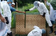 করোনায় আরও ১৩ মৃত্যু, শনাক্ত ১৮৪৫