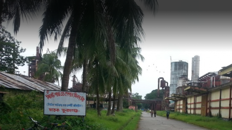 সিলেট পেপার মিলে মণ্ড তৈরির কাঁচামাল চাষের জন্য ৫৬ হাজার একর কৃষি জমি বরাদ্ধ