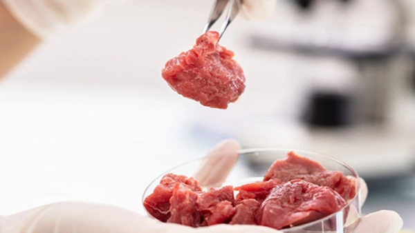 বিশ্বে প্রথম ল্যাবে তৈরি ‘মাংস’ ব্যবহারের অনুমতি দিল সিঙ্গাপুর