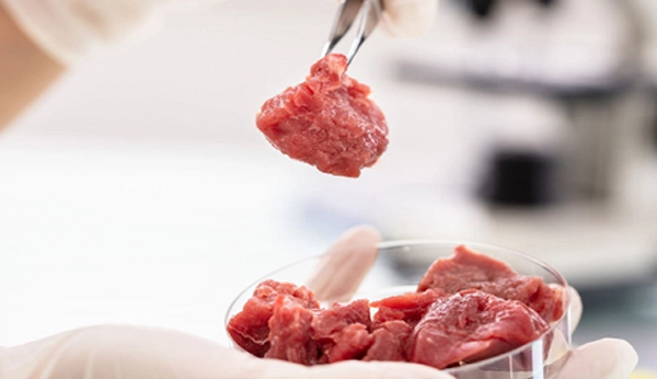 বিশ্বে প্রথম ল্যাবে তৈরি ‘মাংস’ ব্যবহারের অনুমতি দিল সিঙ্গাপুর