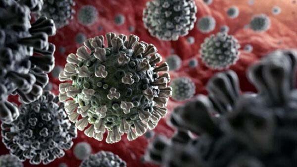 করোনায় দেশে একদিনে আরও ২০ জনের মৃত্যু