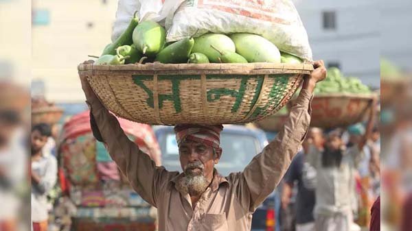 প্রতারক চক্রের ফাঁদ: নিঃস্ব ১২ হাজার কুলি