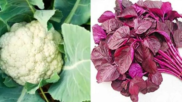 দৃষ্টিশক্তি, মস্তিষ্ক, কিডনী ভাল রাখতে লালশাক ও ফুলকপির বিকল্প নেই