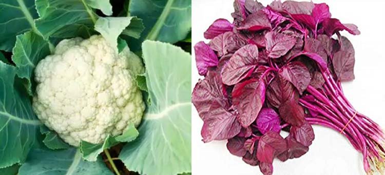 দৃষ্টিশক্তি, মস্তিষ্ক, কিডনী ভাল রাখতে লালশাক ও ফুলকপির বিকল্প নেই